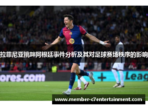 拉菲尼亚挑衅阿根廷事件分析及其对足球赛场秩序的影响