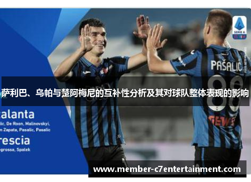 萨利巴、乌帕与楚阿梅尼的互补性分析及其对球队整体表现的影响