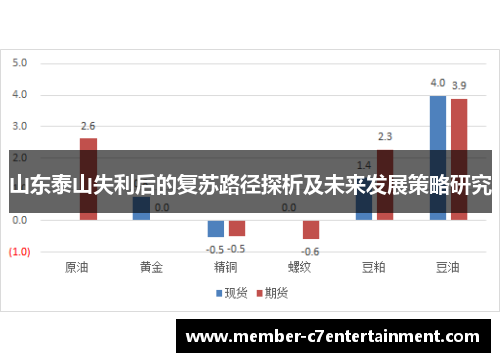 山东泰山失利后的复苏路径探析及未来发展策略研究