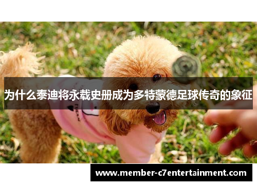 为什么泰迪将永载史册成为多特蒙德足球传奇的象征