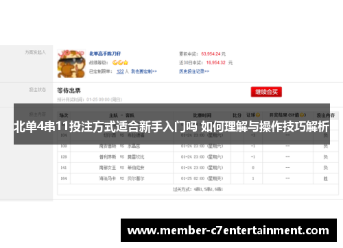 北单4串11投注方式适合新手入门吗 如何理解与操作技巧解析