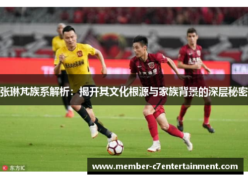 张琳芃族系解析：揭开其文化根源与家族背景的深层秘密