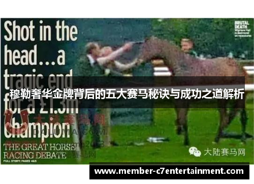 穆勒奢华金牌背后的五大赛马秘诀与成功之道解析