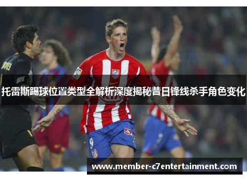 托雷斯踢球位置类型全解析深度揭秘昔日锋线杀手角色变化