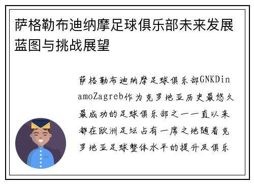 萨格勒布迪纳摩足球俱乐部未来发展蓝图与挑战展望