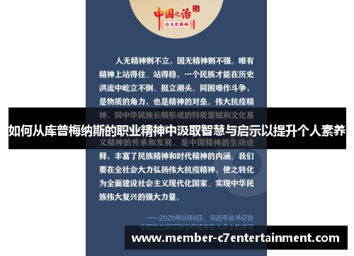 如何从库普梅纳斯的职业精神中汲取智慧与启示以提升个人素养