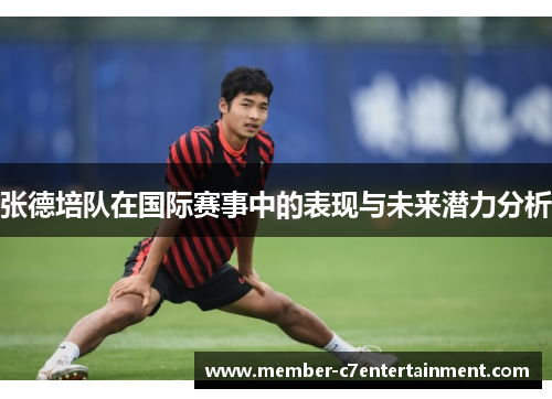张德培队在国际赛事中的表现与未来潜力分析