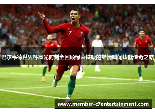 巴尔韦德世界杯高光时刻全回顾绿茵铁腰的燃情瞬间铸就传奇之路