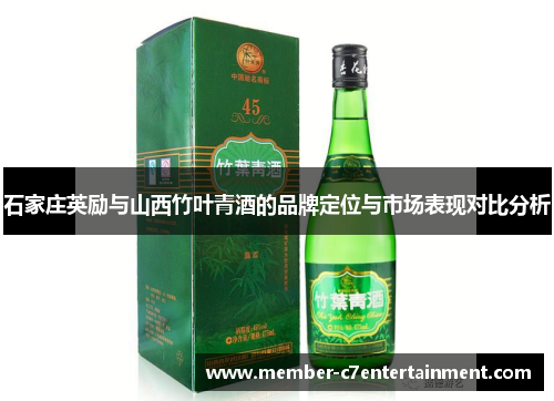 石家庄英励与山西竹叶青酒的品牌定位与市场表现对比分析