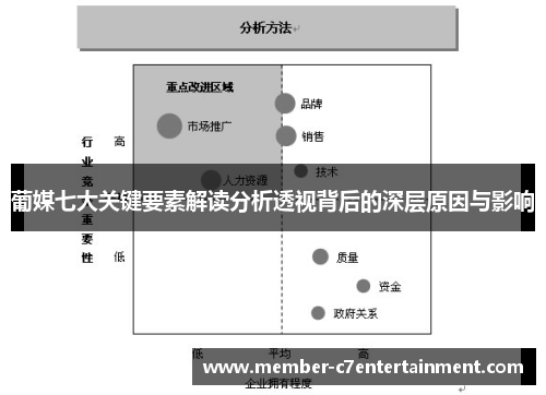 葡媒七大关键要素解读分析透视背后的深层原因与影响 葡媒七大关键要素解读分析透视背后的深层原因与影响